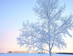 �N���N�n�̋x�Ɠ��ɂ���